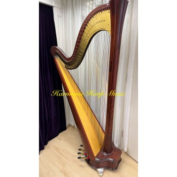 2nd Hand Salvi Daphne 47S Strings Pedal Harp